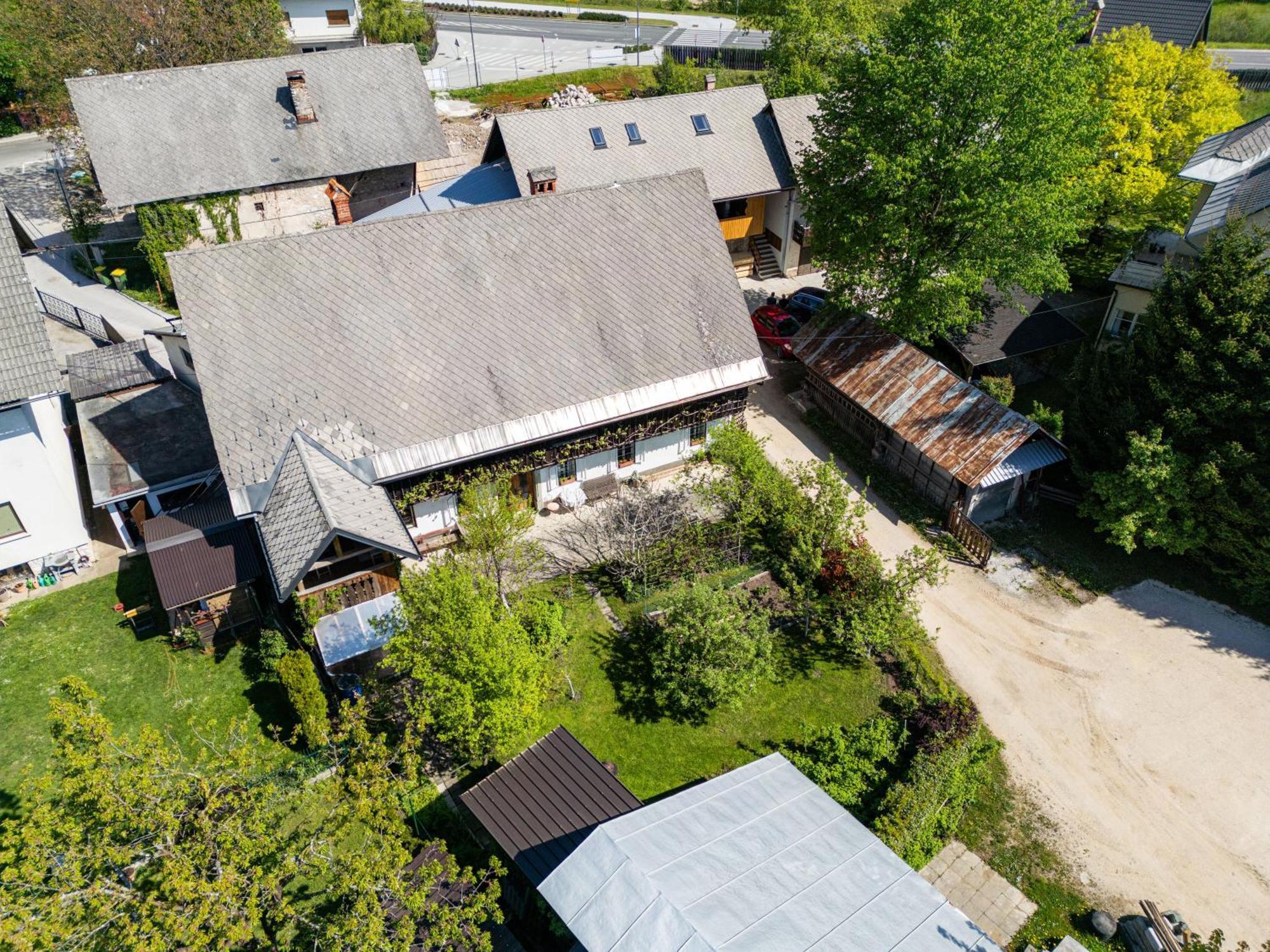 House, Garden And A Green Cat Блед Екстериор снимка