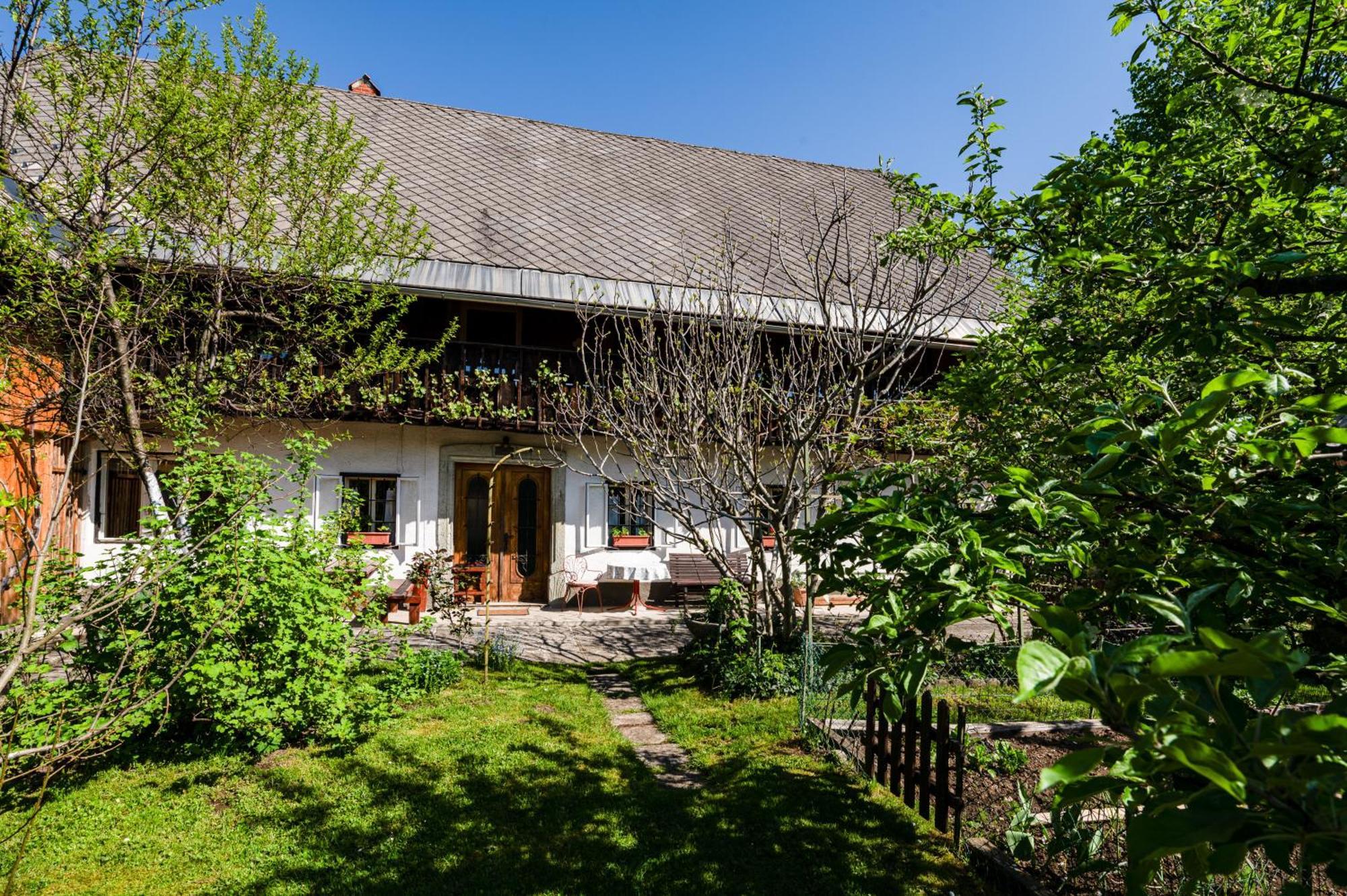 House, Garden And A Green Cat Блед Екстериор снимка