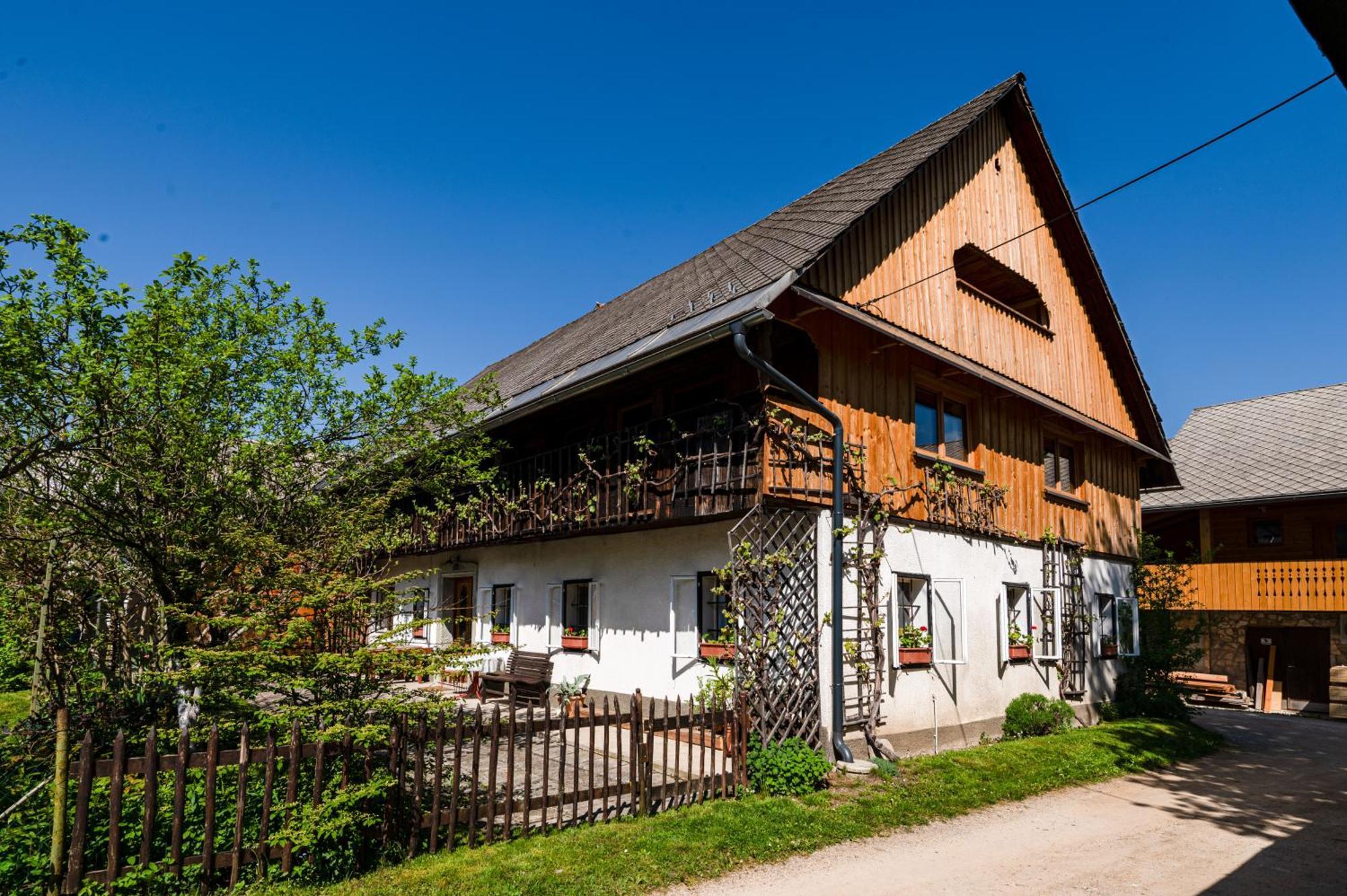 House, Garden And A Green Cat Блед Екстериор снимка