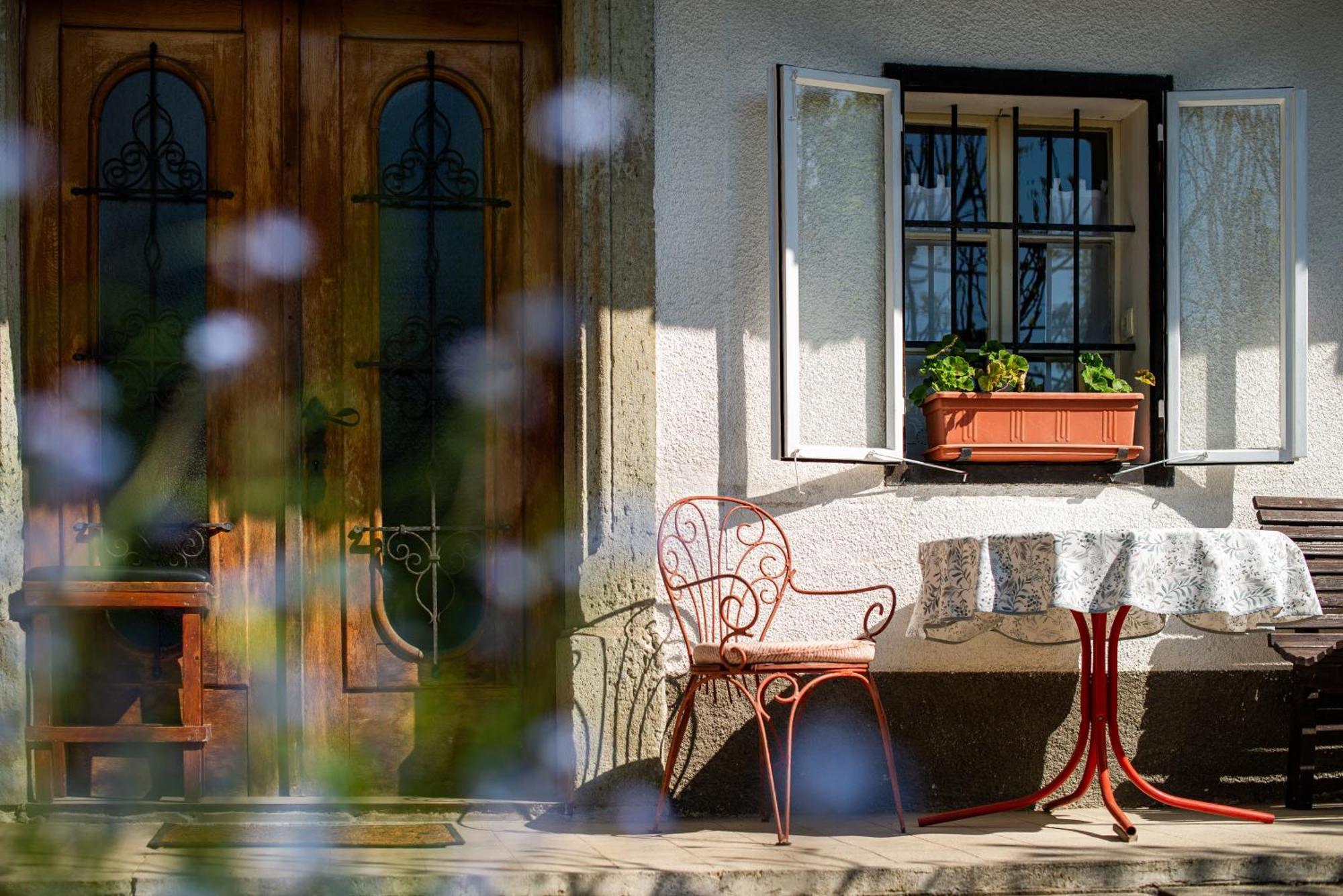 House, Garden And A Green Cat Блед Екстериор снимка