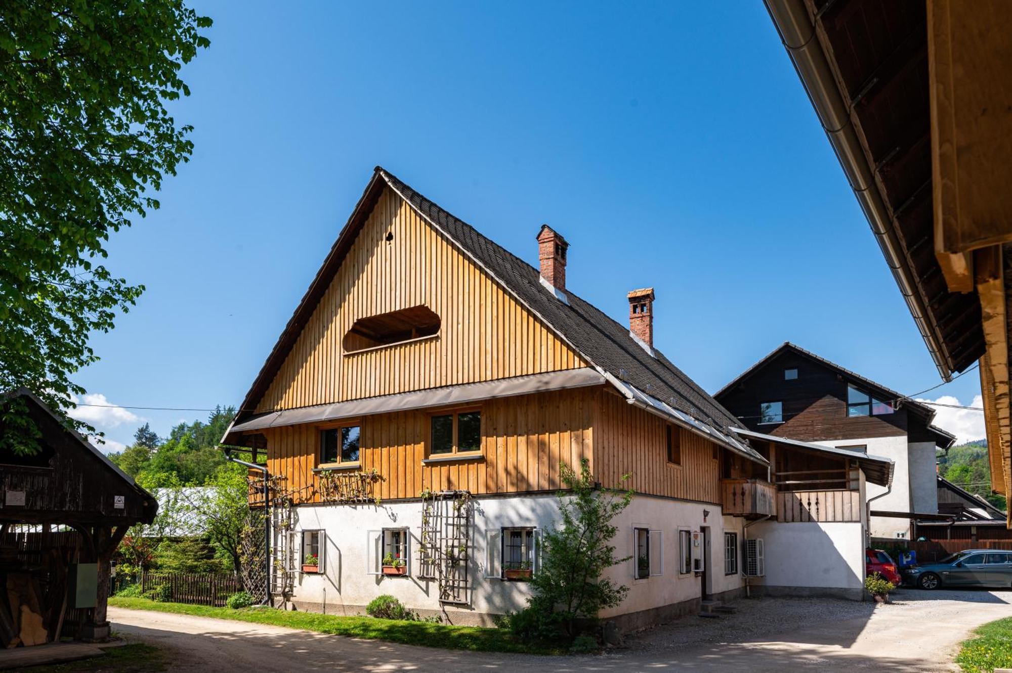 House, Garden And A Green Cat Блед Екстериор снимка